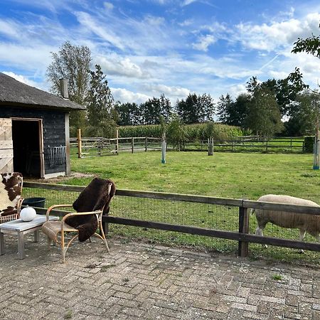 Geldersche Tuin 6 Persoons Villa Emst Exterior foto