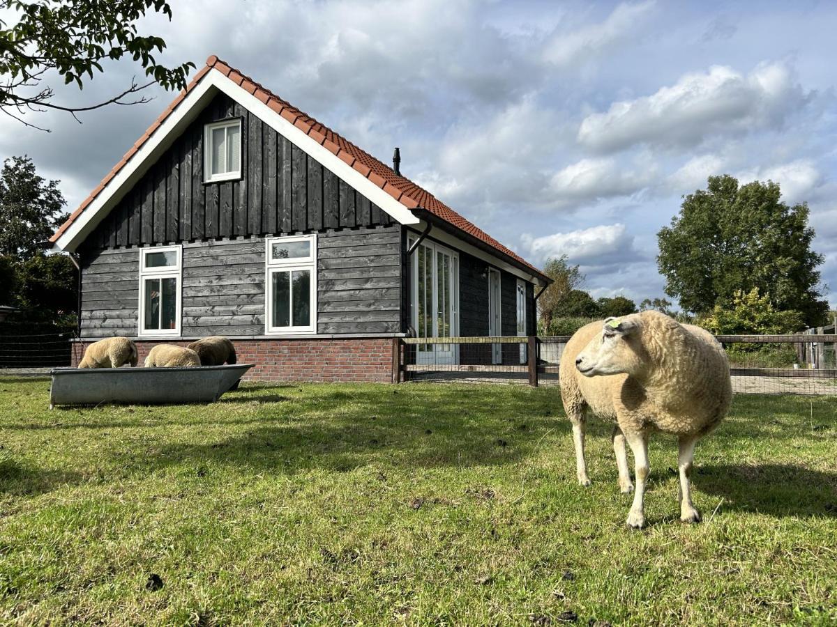 Geldersche Tuin 6 Persoons Villa Emst Exterior foto