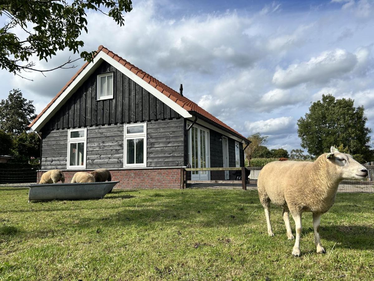Geldersche Tuin 6 Persoons Villa Emst Exterior foto